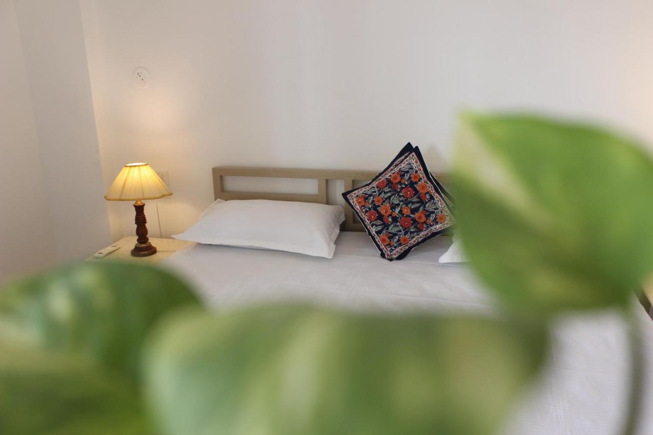 فندق Doongri House جايبور المظهر الخارجي الصورة